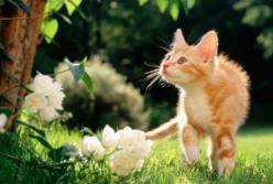 Прогноз погоды на 20 августа: жара возвращается