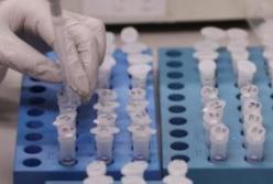 В Украине Кабмин запустил сайт о коронавирусе