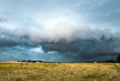 Прогноз погоды на 10 июня: грозы накроют все регионы Украины