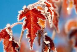 Прогноз погоды на 22 ноября: начинаются морозы (карта)