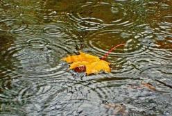 Прогноз погоды на 4 октября: дожди с запада перемещаются на восток (карта)