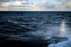 Мужчина нашел на пляже бутылку с посланием из прошлого века (фото) 