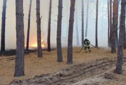 На Луганщине масштабные пожары, эвакуируют села (фото, видео)