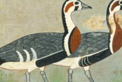 Ученые разгадали тайну египетской фрески, которой 4,6 тыс. лет 