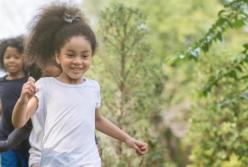 Чем больше деревьев, тем выше IQ: ученые назвали лучшее место для жизни