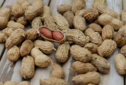 Медики назвали вредные для здоровья орехи 