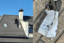 Вибухи у лісопарковій зоні та на даху будинку: у Києві здетонували касетні боєприпаси з "шахедів" (фото)