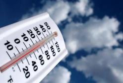 В Украине смещаются климатические зоны: что это значит и чем грозит