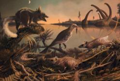 Опровергнуто устоявшееся представление об эволюции жизни на Земле