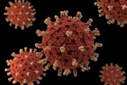 Ученые раскрыли тайну вируса, который убивает 200 тысяч человек ежегодно 