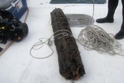 В Мексиканском заливе нашли подводный лес возрастом 60 тысяч лет