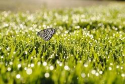 Прогноз погоды на 8 мая: дожди начинают отступать