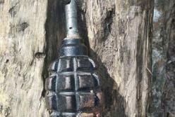 В Днепре дворник сидел с гранатой на детской площадке и распивал алкоголь