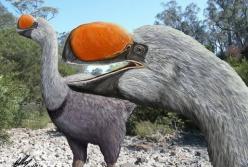 Ученые воссоздали облик птицы, жившей 50 тысяч лет назад