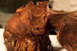 Археологи раскрыли загадку «мумии кричащей женщины» (фото)