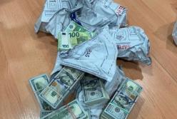 У украинца конфисковали €500 тыс. и $240 тыс., которые он вез через границу