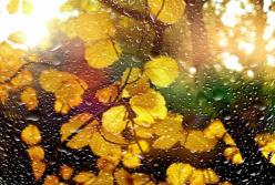​И дождь, и солнце: погода на выходные 20–21 ноября
