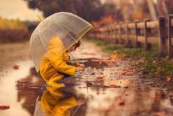 Прогноз погоды на 31 октября: Украину накроют холод и дожди