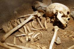 На окраине Николаева нашли человеческие кости