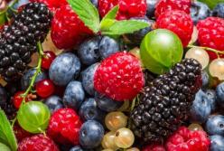 Как правильно употреблять ягоды