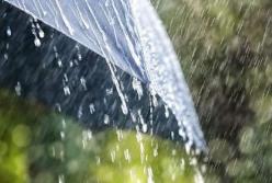 Прогноз погоды на 19 мая: дожди и грозы не покидают Украину