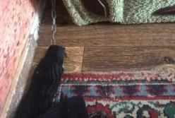 Издевалась над приемным сыном: в Днепре женщина связала скотчем 8-летнего ребенка и посадила на цепь