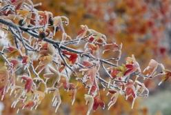 Прогноз погоды на 31 октября: резко похолодает (карта)