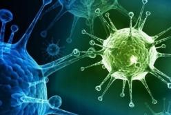 Врожденный иммунитет к COVID-19 может иметь до 50% людей - ученые