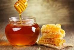 Медики рассказали о полезных свойствах меда
