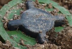 Двое украинских военных на Донбассе подорвались на мине