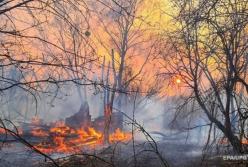 Кабмин выделил 45 млн на тушение пожаров под Чернобылем