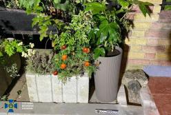 У Львові двоє неповнолітніх ледь не підірвали таунхаус, де проживав воїн Сил оборони (фото)