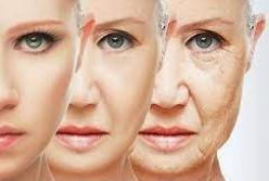 Ученые назвали три этапа старения организма