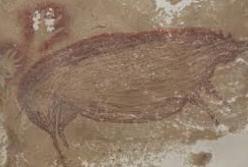 Археологи нашли самый древний наскальный рисунок животного: фото