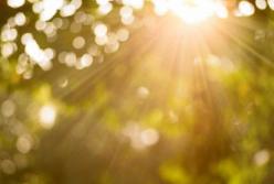 Прогноз погоды на 13 августа: почти по всей Украине будет солнечная погода