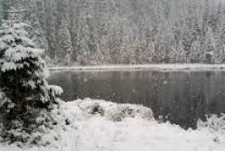 В Карпатах выпало до полуметра снега (фото)