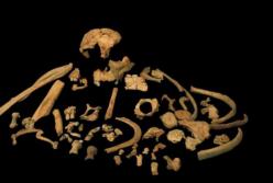 Ученые получили древнейший генетический материал предков человека