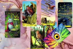 Осяяння, ілюзії та двоїсті сигнали: про що розкаже гороскоп на 20 травня за картами Таро