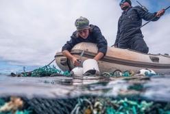 Ученые: На дне океана в 30 раз больше пластика, чем на поверхности