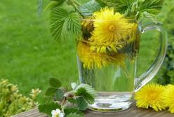 Медики рассказали о лечебных свойствах одуванчиков