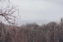 Прогноз погоды на 18 ноября: мороз, дожди и мокрый снег