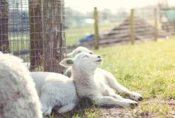 Прогноз погоды на 28 апреля: солнечно, но заморозки не отступают