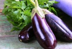 Баклажаны: чем они полезны для здоровья