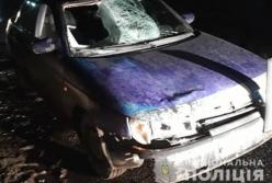 В Черкасской области пьяный водитель насмерть сбил ребенка