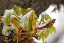 Прогноз погоды на 16 декабря: Украину накроют дожди и мокрый снег