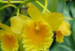 Найдено средство против одного из самых распространенных видов рака