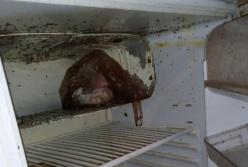 Опасно для жизни: в сети показали жуткие условия в общежитиях Харькова (фото)