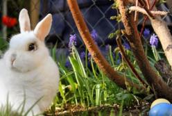 ​На пасхальные праздники в Украине будут грозовые тучи, дождь, ветер и немного солнца