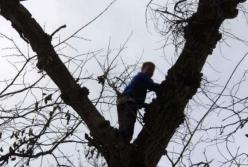 Под Днепром пришлось спасать мальчика, который залез на дерево собирать грибы