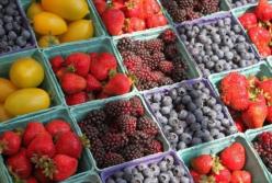 Врач рассказала, чем грозит чрезмерное употребление ягод и фруктов